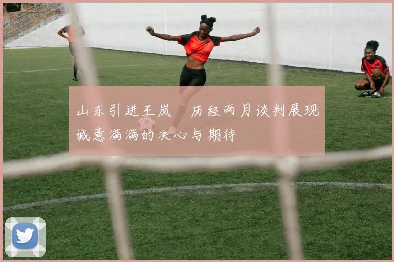 山东引进王岚嵚历经两月谈判展现诚意满满的决心与期待
