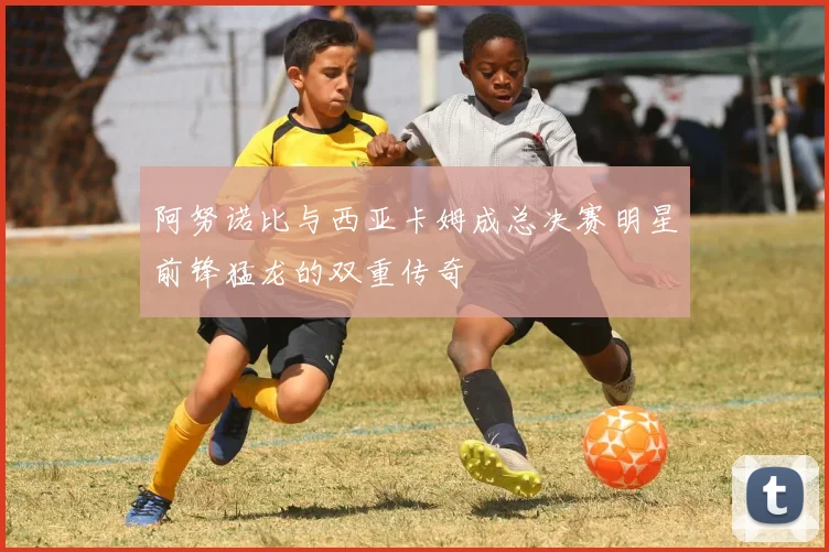 阿努诺比与西亚卡姆成总决赛明星前锋猛龙的双重传奇