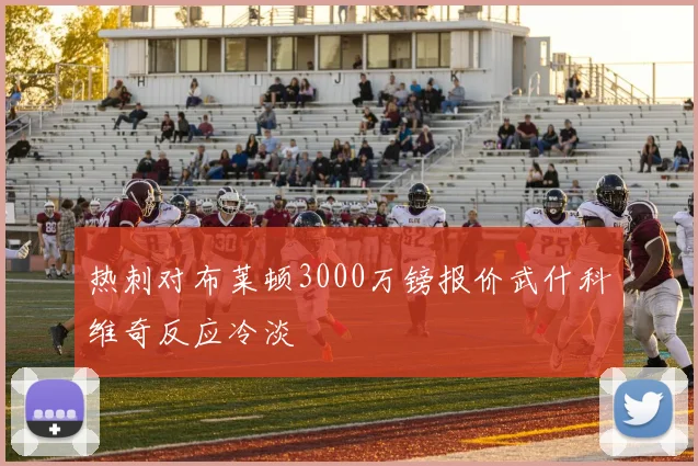 热刺对布莱顿3000万镑报价武什科维奇反应冷淡